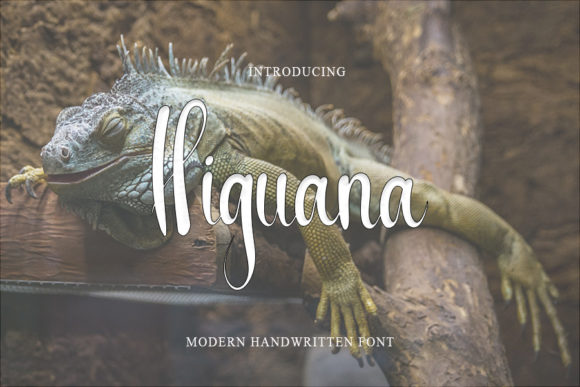 Higuana: A Handwritten Font for Creative Projects